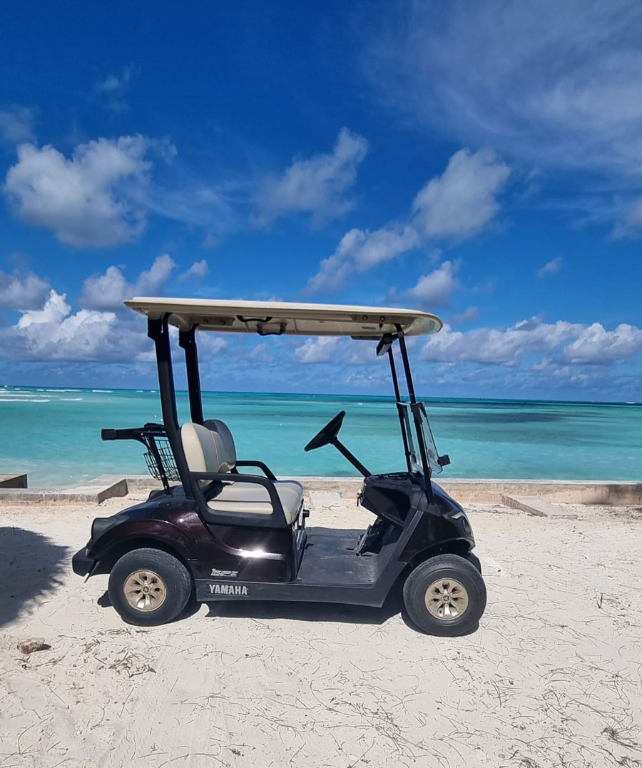 2 seater golf cart rentals spanish wells